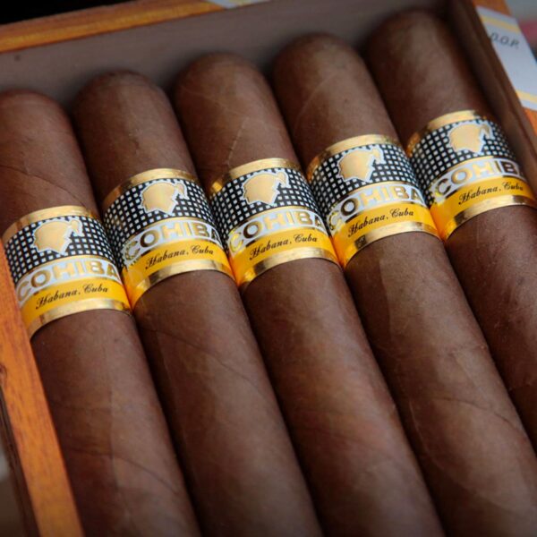 Cohiba Siglo VI