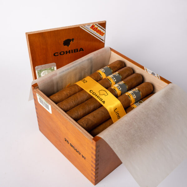 Cohiba Siglo VI