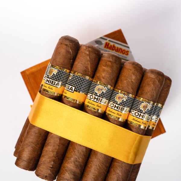 Cohiba Robustos