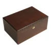 blacklabel-australia (33) Large African Teak Cigar Humidor | 100-150 Count